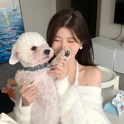 三全其美